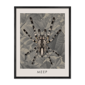Vintage Botanical Engraved Leaves Pet Portrait