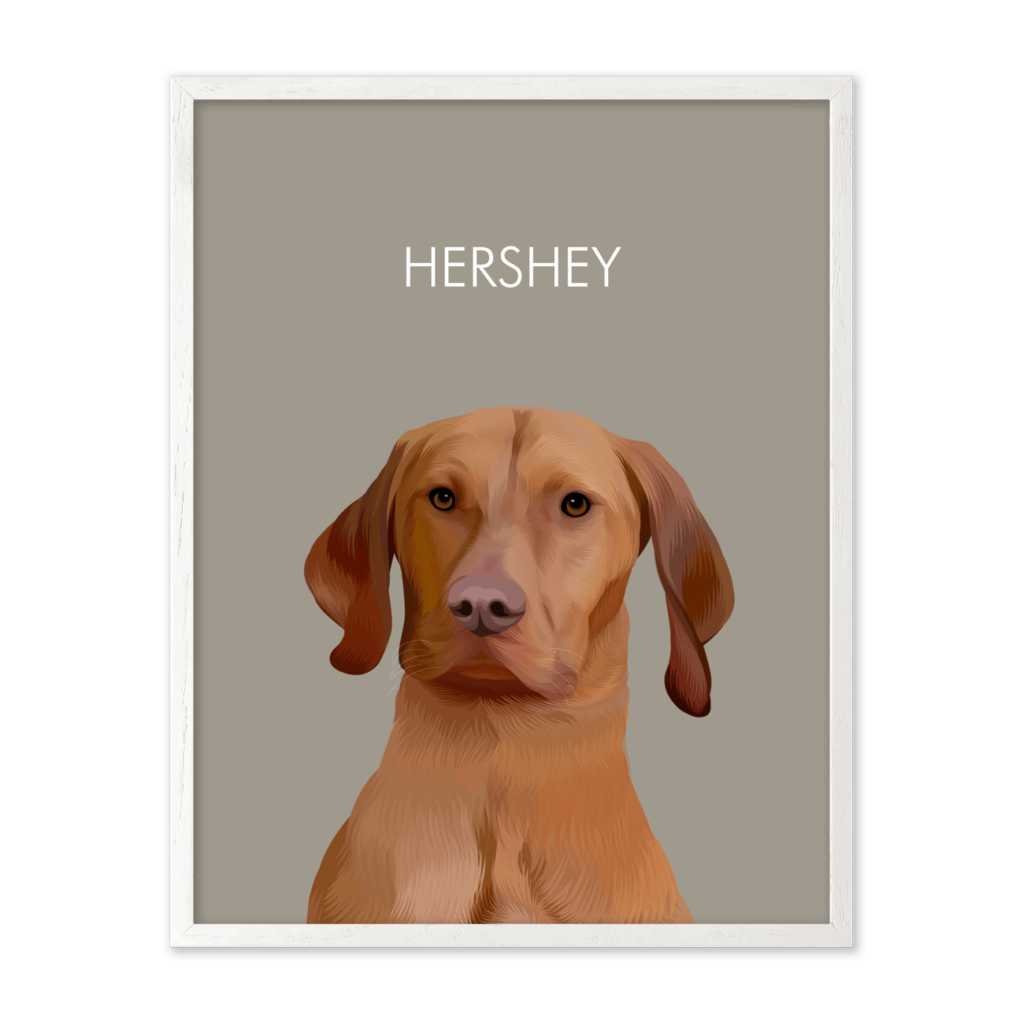 Soft Neutral Colored Background Pet Portrait