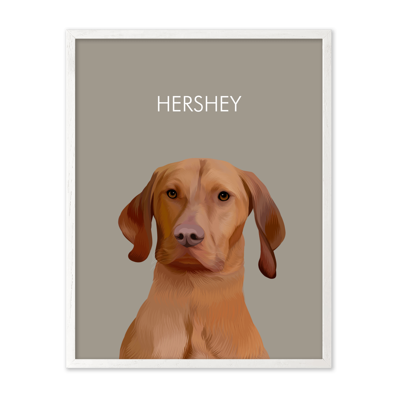 Soft Neutral Colored Background Pet Portrait