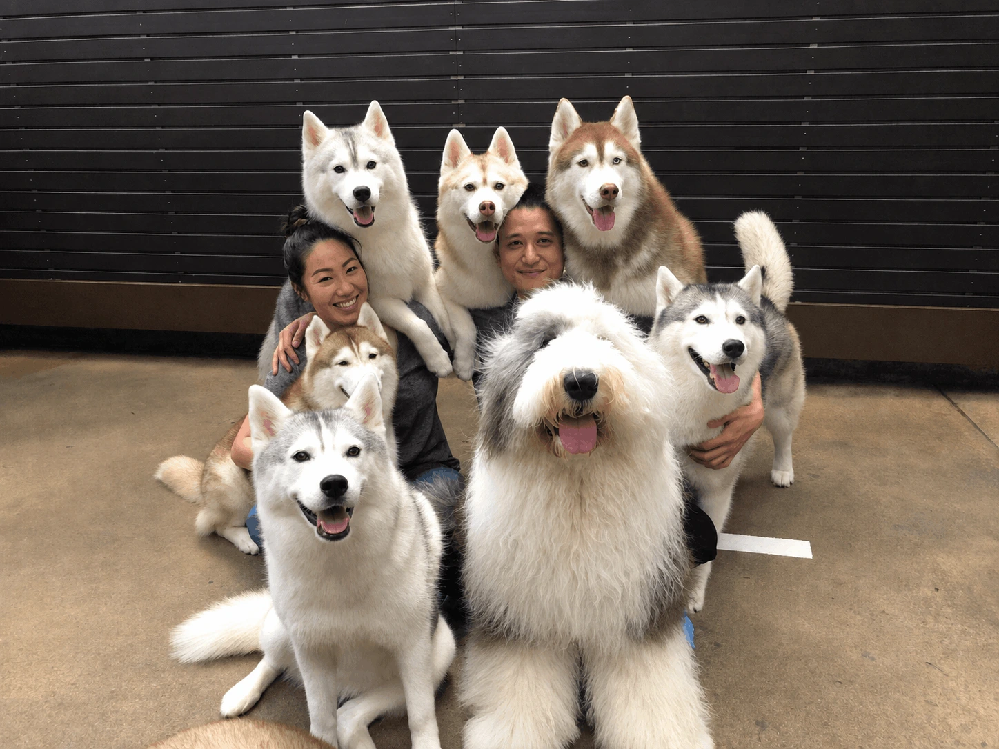 Tim and Patricia, founders of Petprintingco, with their pets